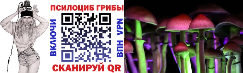 Псилоцибиновые грибы MAGIC MUSHROOMS  как найти закладки  Плёс 