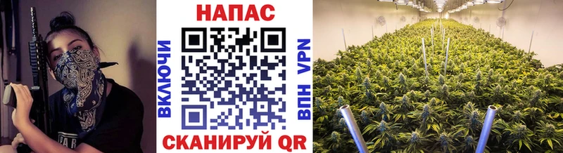 наркотики  Плёс  blacksprut сайт  Конопля тримм 